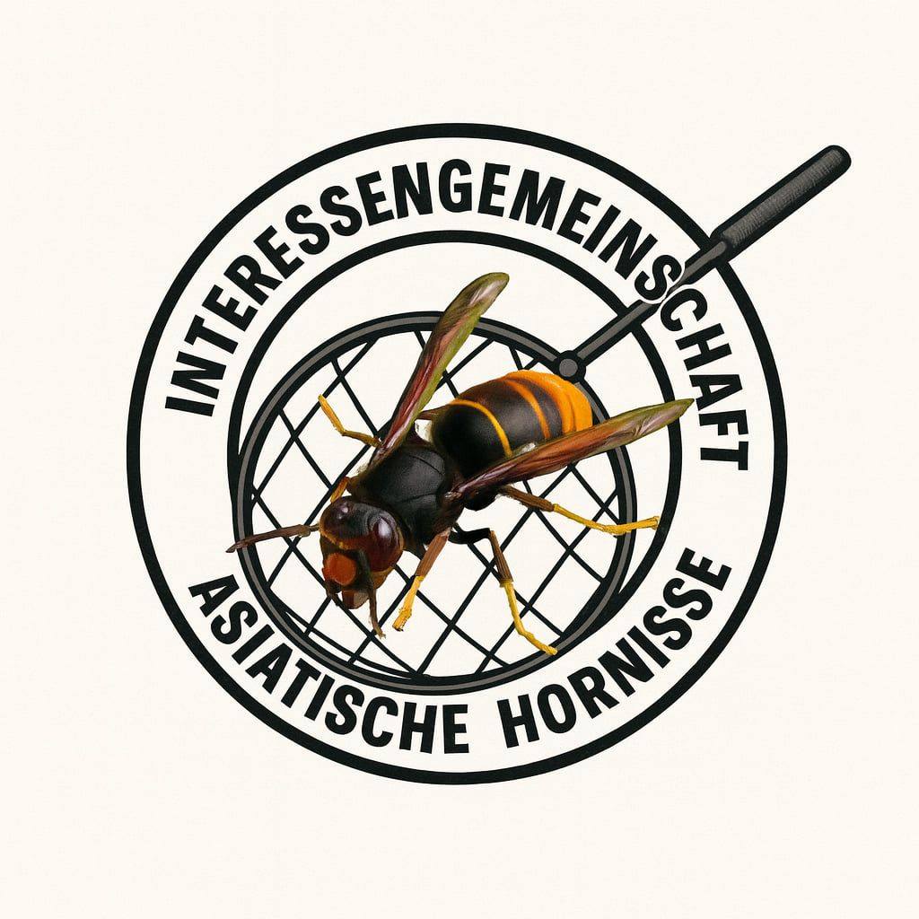 IG Asiatische Hornisse Logo